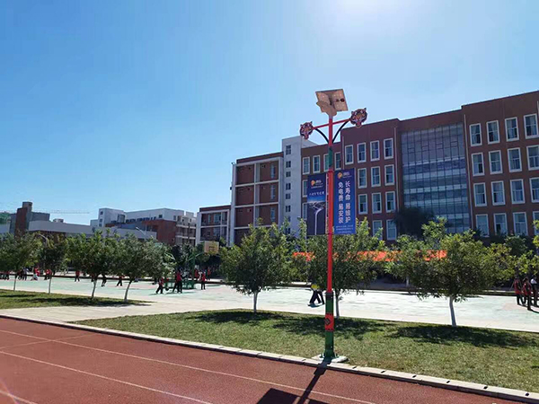 太陽能路燈，太陽能路燈廠家，太陽能路燈價(jià)格