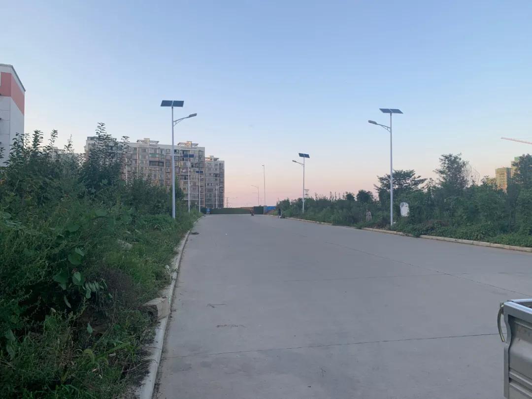 云鵬燈〡九萬里風安稅駕，云鵬今悔不卑飛