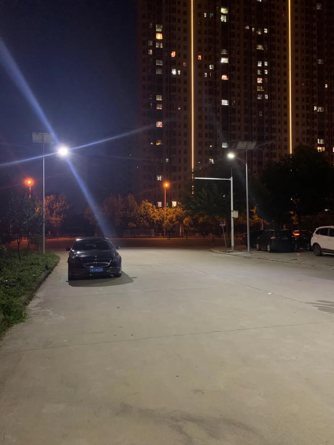 云鵬燈〡九萬里風安稅駕，云鵬今悔不卑飛