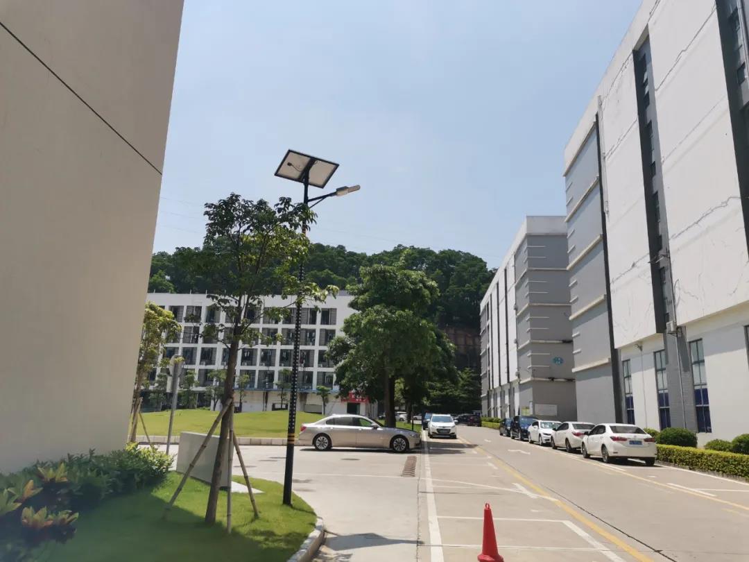 案例賞析〡云雁高飛，助力鄉(xiāng)村振興