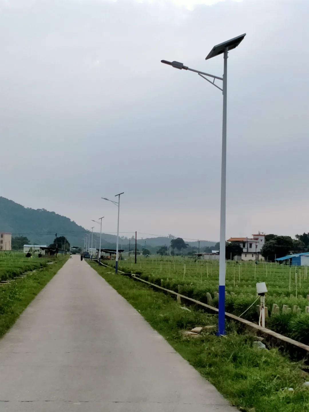 案例賞析〡云雁高飛，助力鄉(xiāng)村振興